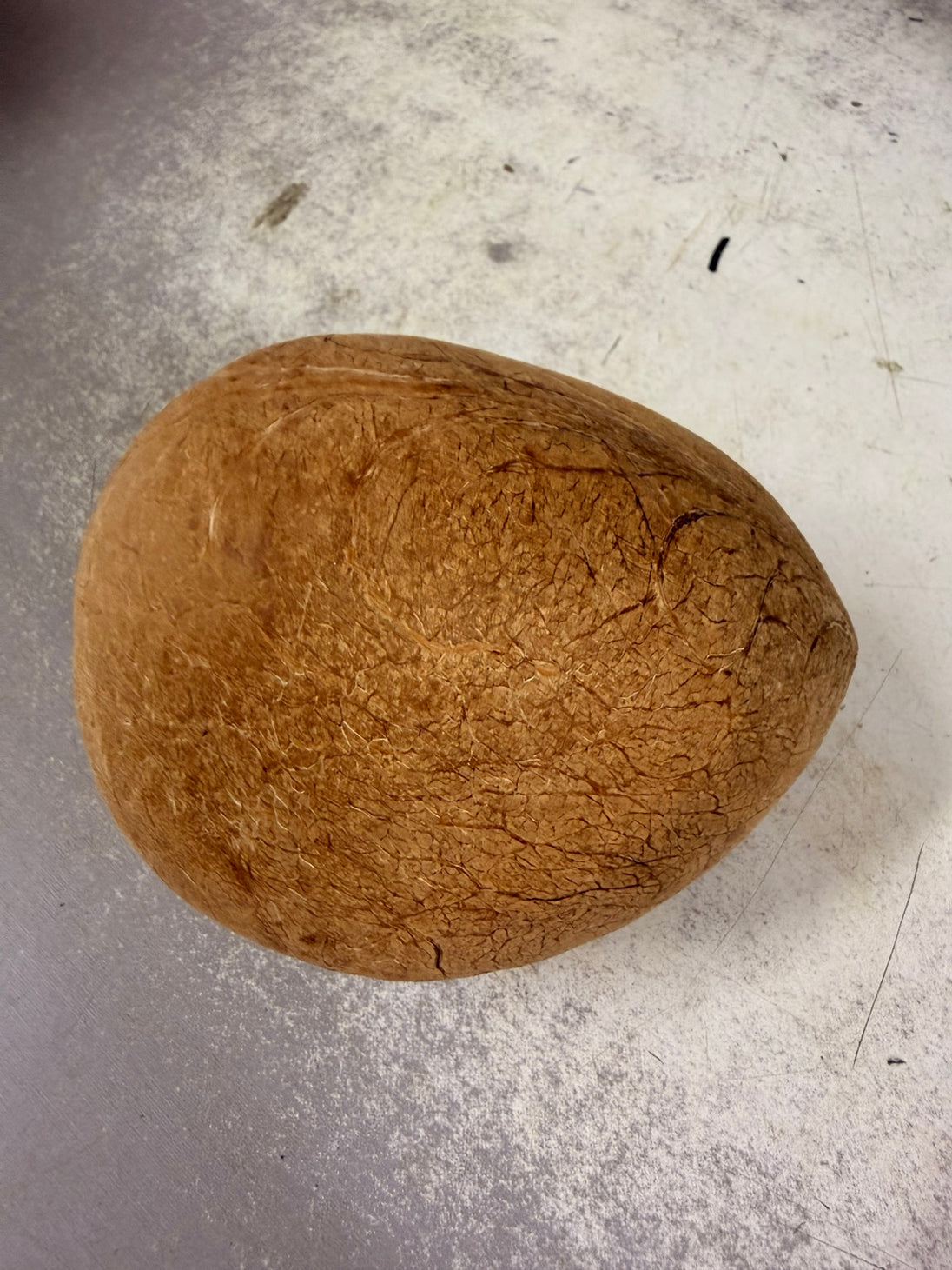 Whole dry coconut
